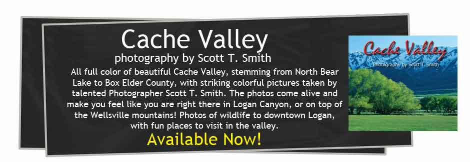 Cache Valley Photography